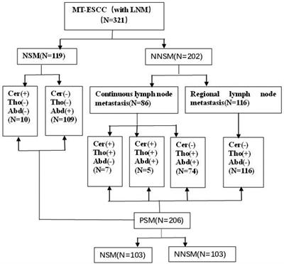 Relationship between postoperative nodal skip metastasis of mid-thoracic esophageal squamous cell carcinoma and patient prognosis and its value in guiding postoperative adjuvant treatment